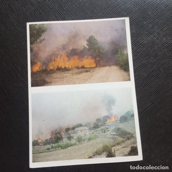 Collectionnisme Cartes &agrave; collectionner anciennes: 291 292 EL MON FORESTAL CROMO ENCICLOPEDIA CATALANA - SIN PEGAR - CC7