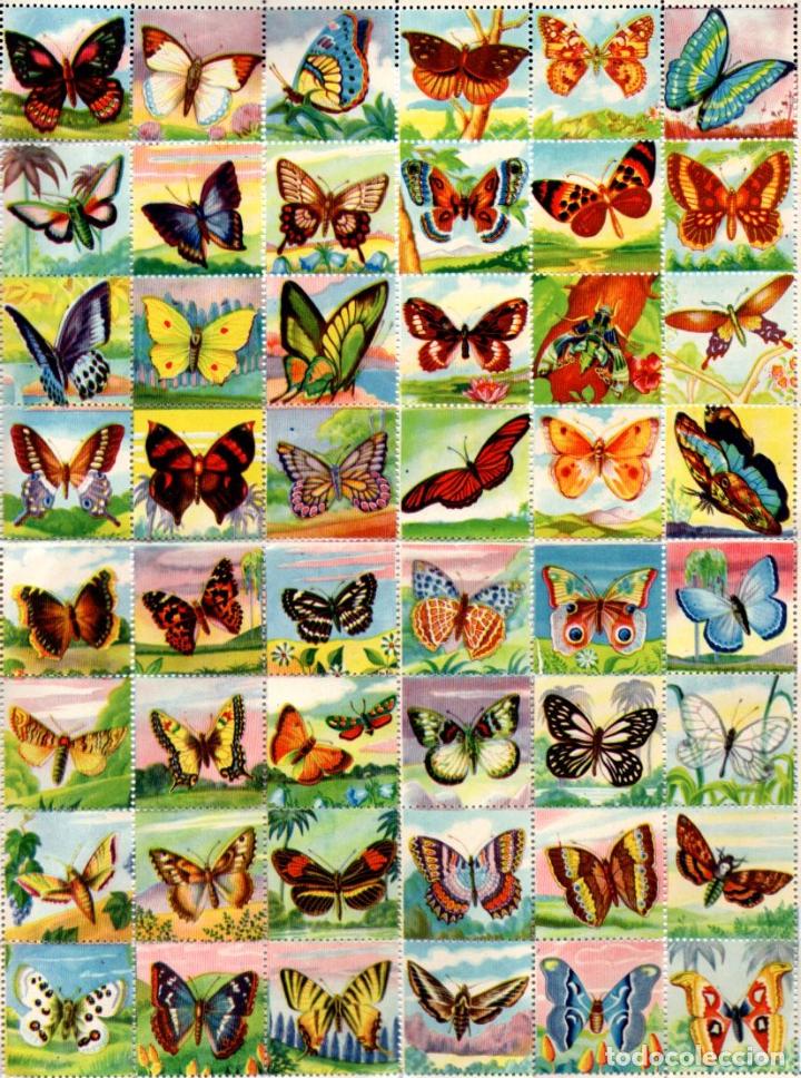 Coleccionismo cromos antiguos: L&Aacute;MINA DE 48 CROMOS MARIPOSAS - Foto 1