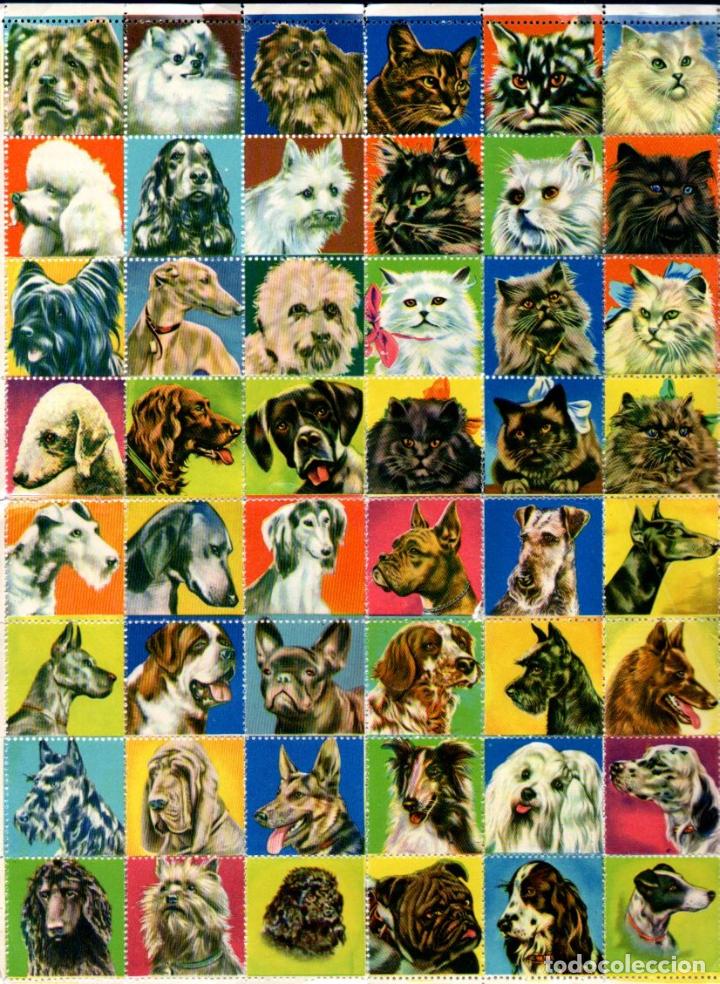 Coleccionismo cromos antiguos: L&Aacute;MINA DE 48 CROMOS PERROS - Foto 1
