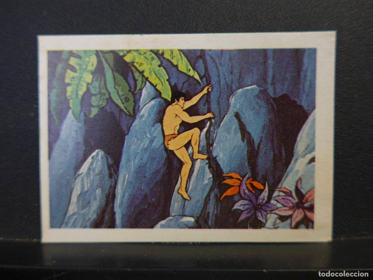 Coleccionismo cromos antiguos: CROMO TARZAN DE PANRICO N&ordm; 247 - Foto 1