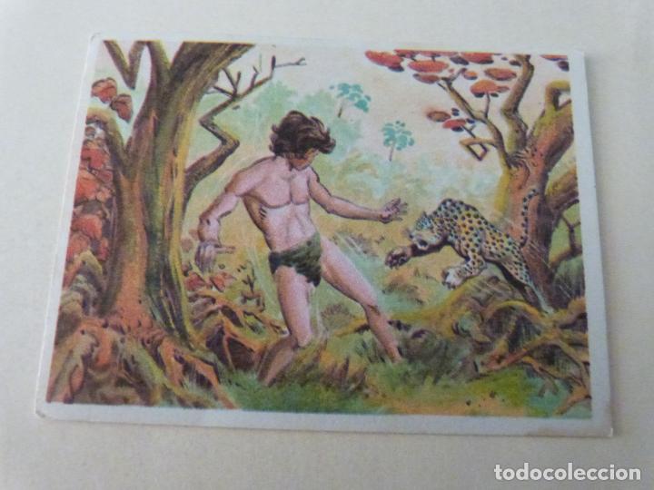 Coleccionismo cromos antiguos: CROMO AVENTURAS JORGE EL PEQUE&Ntilde;O TARZ&Aacute;N SIN PEGAR N&ordm; 16 A&Ntilde;O 1969 ALBUM AVENTURAS.. EDITORIAL COSTA