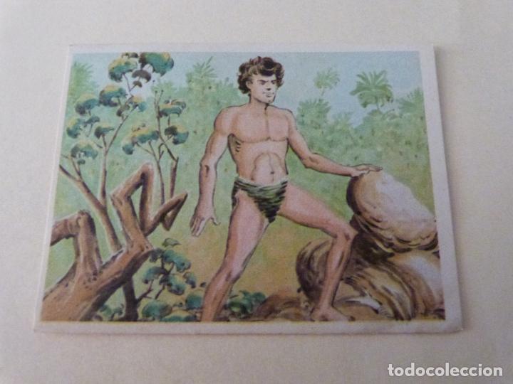 Coleccionismo cromos antiguos: CROMO AVENTURAS JORGE EL PEQUE&Ntilde;O TARZ&Aacute;N SIN PEGAR N&ordm; 80 A&Ntilde;O 1969 ALBUM AVENTURAS.. EDITORIAL COSTA