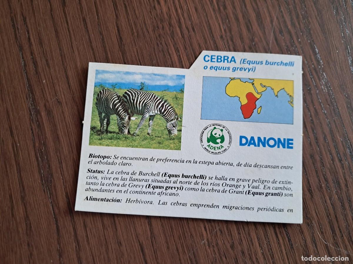 Coleccionismo cromos antiguos: cromo, ficha de Danone, Cebra, Adena. - Foto 1
