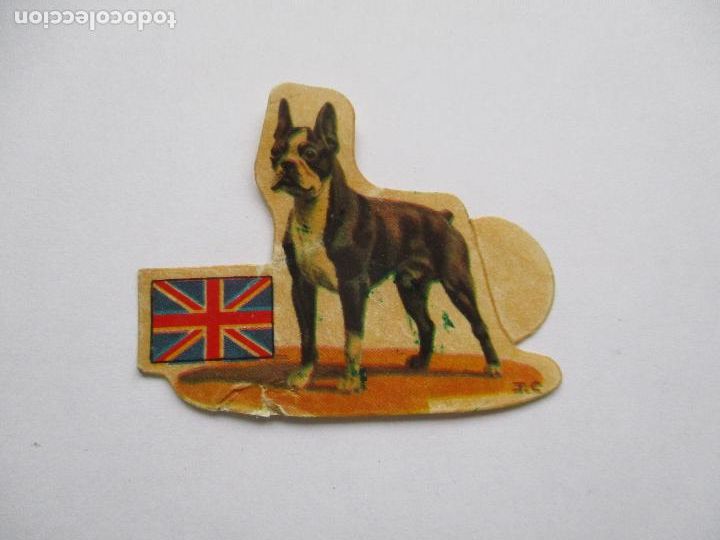 Coleccionismo Cromos antiguos: CROMO: PANRICO 30, BOSTON TERRIER, INGLATERRA