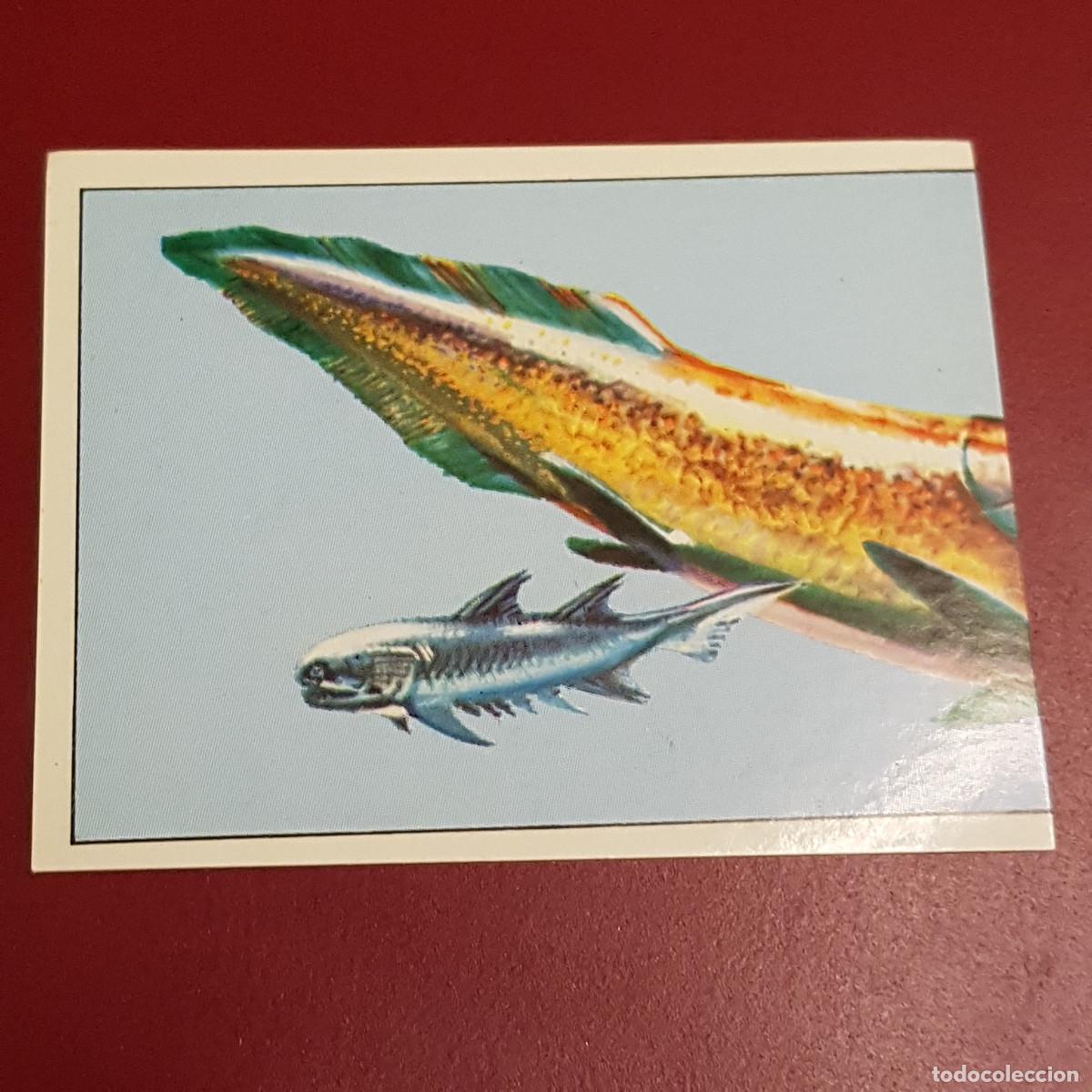 Coleccionismo cromos antiguos: PANINI - DINOSAURS - 1992 - 92 - 36 - NUNCA PEGADO - Foto 1