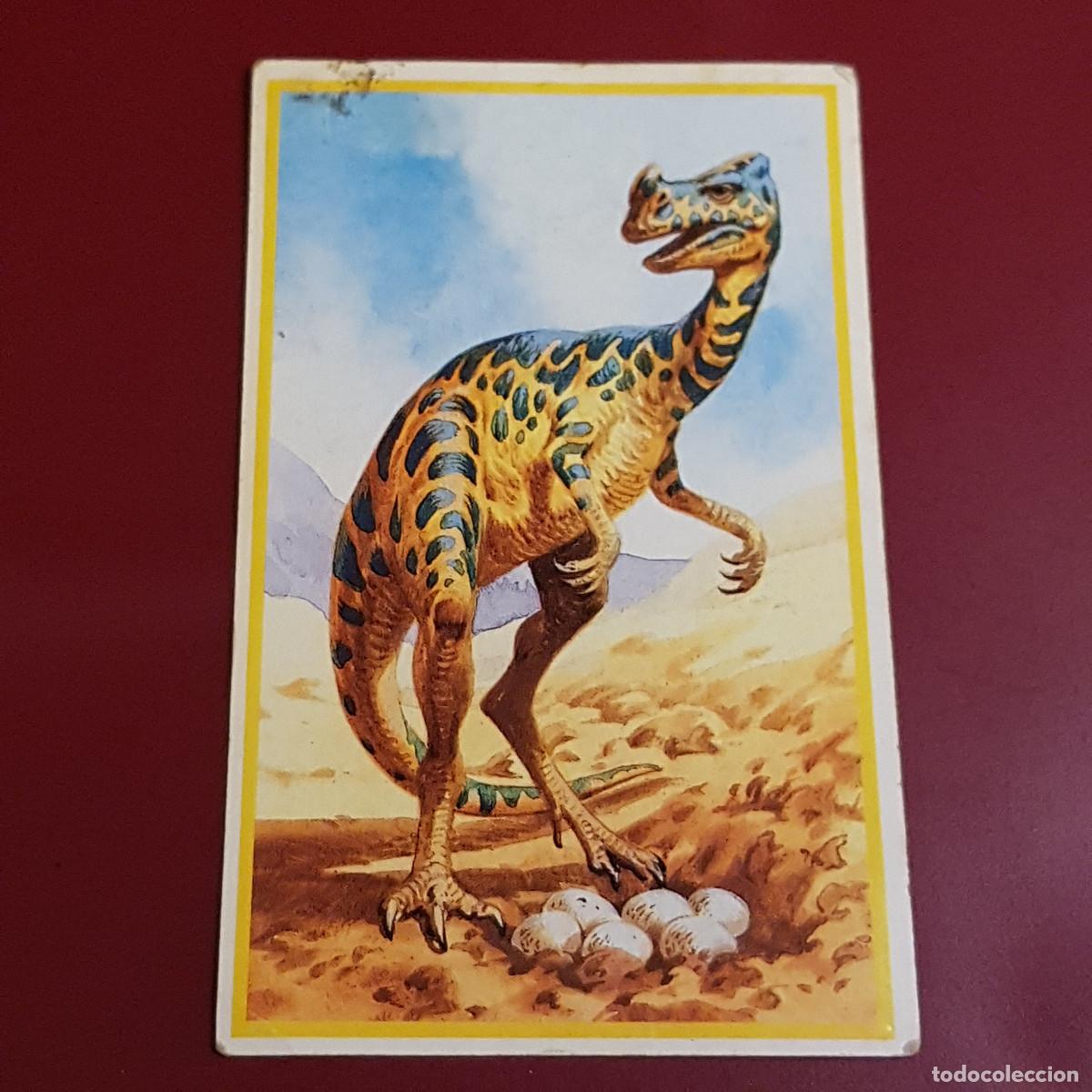 Coleccionismo cromos antiguos: DINOSAURIOS - COME SAURIOS - OVIRAPTOR 17 - Foto 1