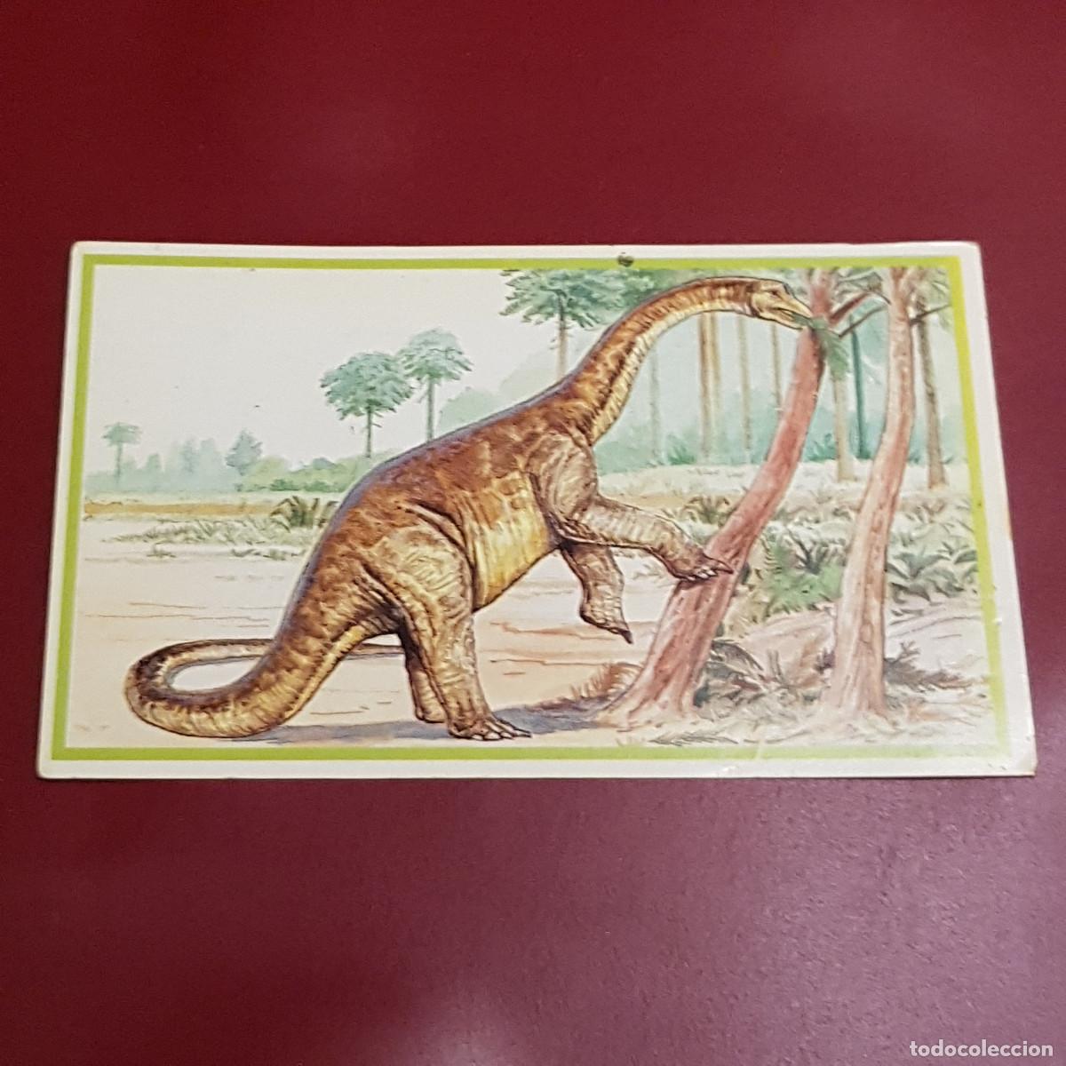 Coleccionismo cromos antiguos: DINOSAURIOS - COME SAURIOS - CATHETOSAURUS 35 - Foto 1