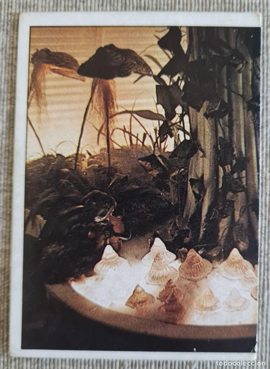 Coleccionismo cromos antiguos: Cromo ET el extraterrestre n&uacute;mero 11 - Foto 1