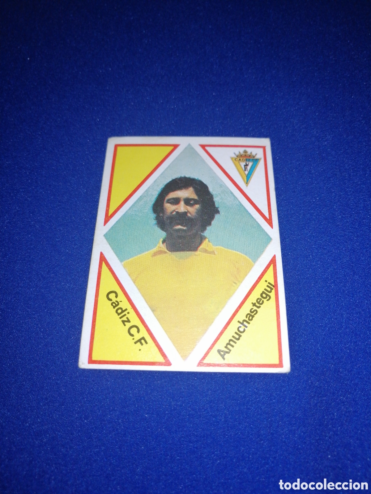 Coleccionismo Cromos antiguos: MAGA LIGA 83-84 AMUCHASTEGUI 241