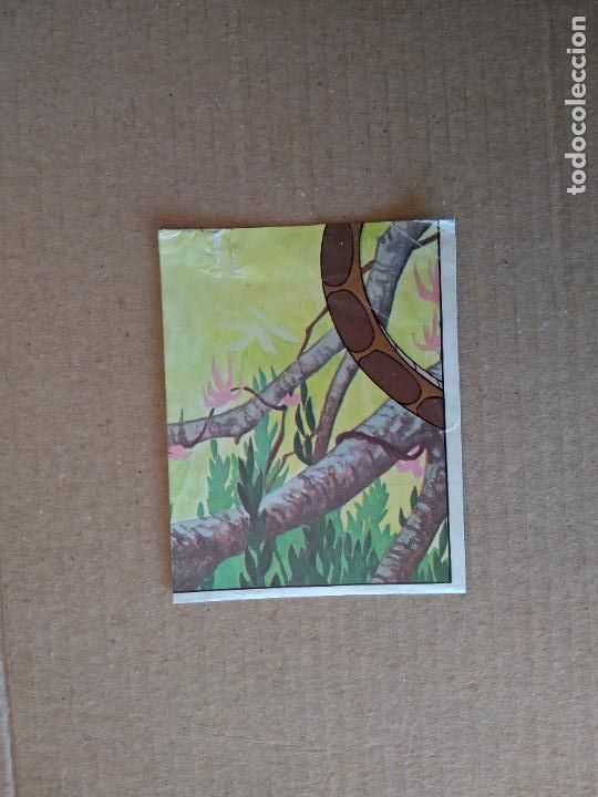 Coleccionismo cromos antiguos: 1 CROMO EL LIBRO DE LA SELVA DE PANINI DE CROMO CROM DEL A&Ntilde;O 1981 - Foto 1