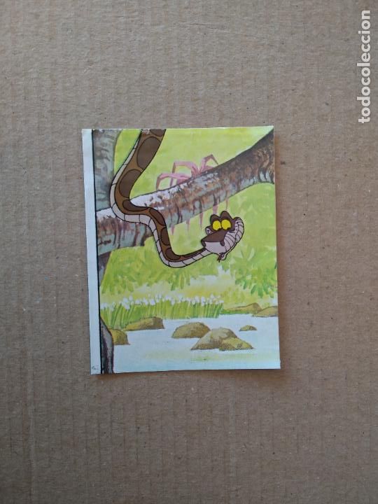 Coleccionismo cromos antiguos: 4 CROMO EL LIBRO DE LA SELVA DE PANINI DE CROMO CROM DEL A&Ntilde;O 1981 - Foto 1