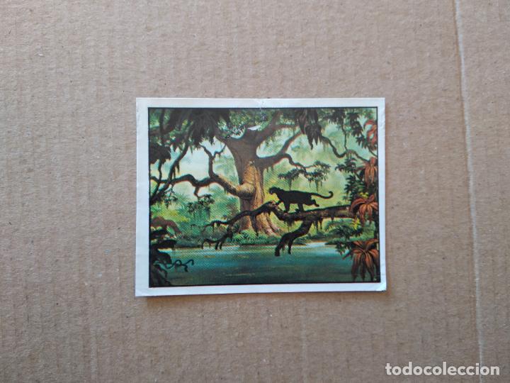 Coleccionismo cromos antiguos: 10 CROMO EL LIBRO DE LA SELVA DE PANINI DE CROMO CROM DEL A&Ntilde;O 1981 - Foto 1