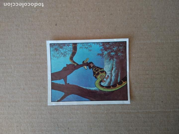 Coleccionismo cromos antiguos: 56 CROMO EL LIBRO DE LA SELVA DE PANINI DE CROMO CROM DEL A&Ntilde;O 1981 - Foto 1