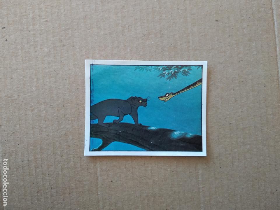 Coleccionismo cromos antiguos: 57 CROMO EL LIBRO DE LA SELVA DE PANINI DE CROMO CROM DEL A&Ntilde;O 1981 - Foto 1
