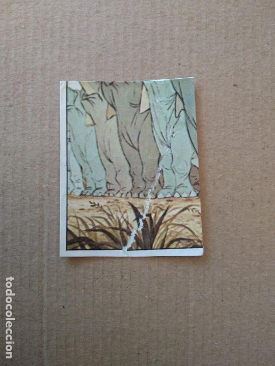 Coleccionismo cromos antiguos: 76 CROMO EL LIBRO DE LA SELVA DE PANINI DE CROMO CROM DEL A&Ntilde;O 1981 - Foto 1