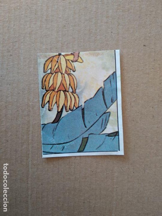 Coleccionismo cromos antiguos: 116 CROMO EL LIBRO DE LA SELVA DE PANINI DE CROMO CROM DEL A&Ntilde;O 1981 - Foto 1