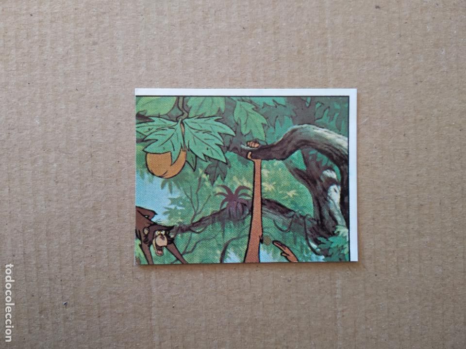 Coleccionismo cromos antiguos: 147 CROMO EL LIBRO DE LA SELVA DE PANINI DE CROMO CROM DEL A&Ntilde;O 1981 - Foto 1