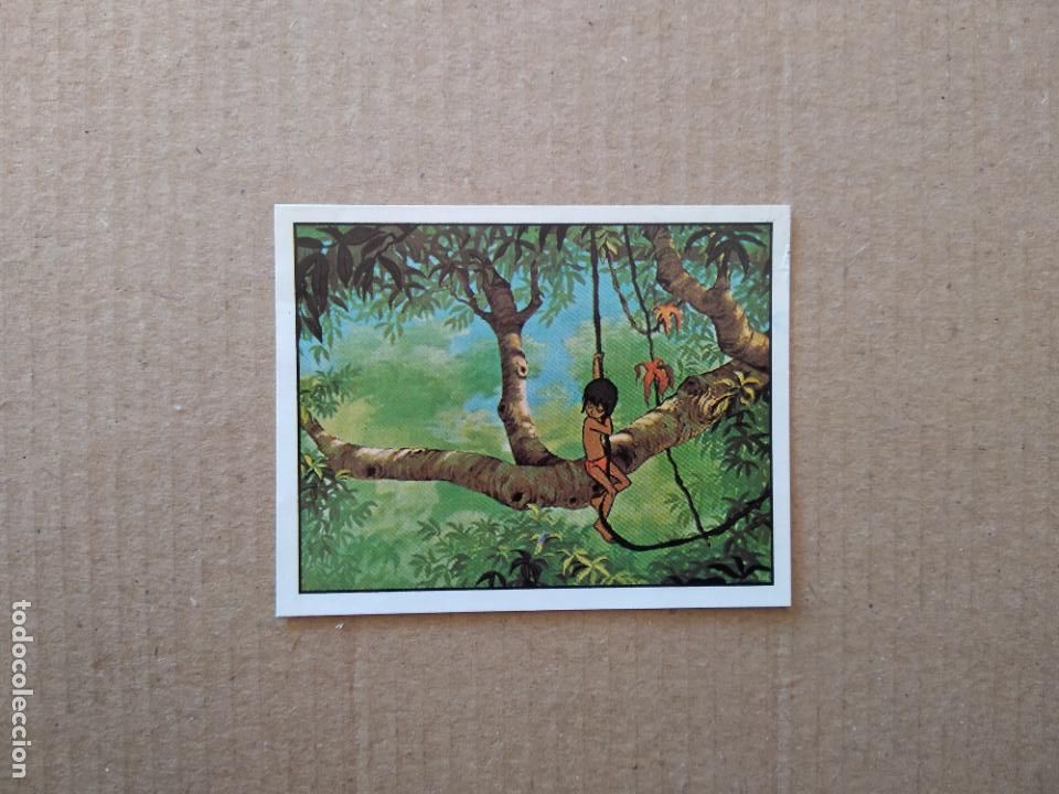 Coleccionismo cromos antiguos: 264 CROMO EL LIBRO DE LA SELVA DE PANINI DE CROMO CROM DEL A&Ntilde;O 1981 - Foto 1
