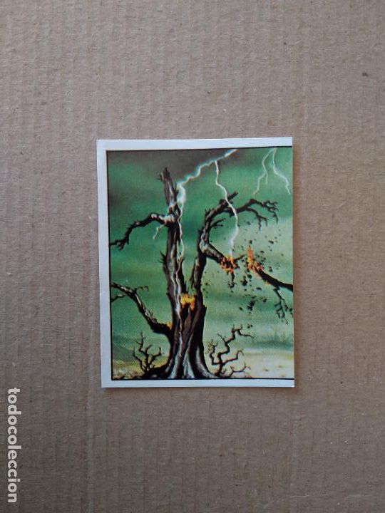 Coleccionismo cromos antiguos: 312 CROMO EL LIBRO DE LA SELVA DE PANINI DE CROMO CROM DEL A&Ntilde;O 1981 - Foto 1