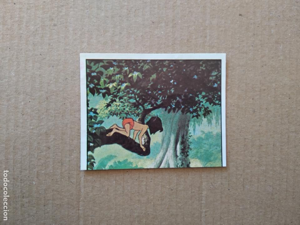 Coleccionismo cromos antiguos: 342 CROMO EL LIBRO DE LA SELVA DE PANINI DE CROMO CROM DEL A&Ntilde;O 1981 - Foto 1