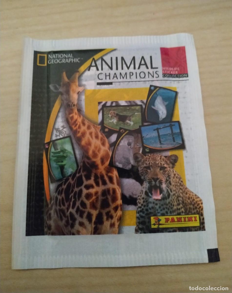 Coleccionismo cromos antiguos: PANINI - NATIONAL GEOGRAPHIC ANIMAL CHAMPIONS - 2004 - SOBRE SIN ABRIR