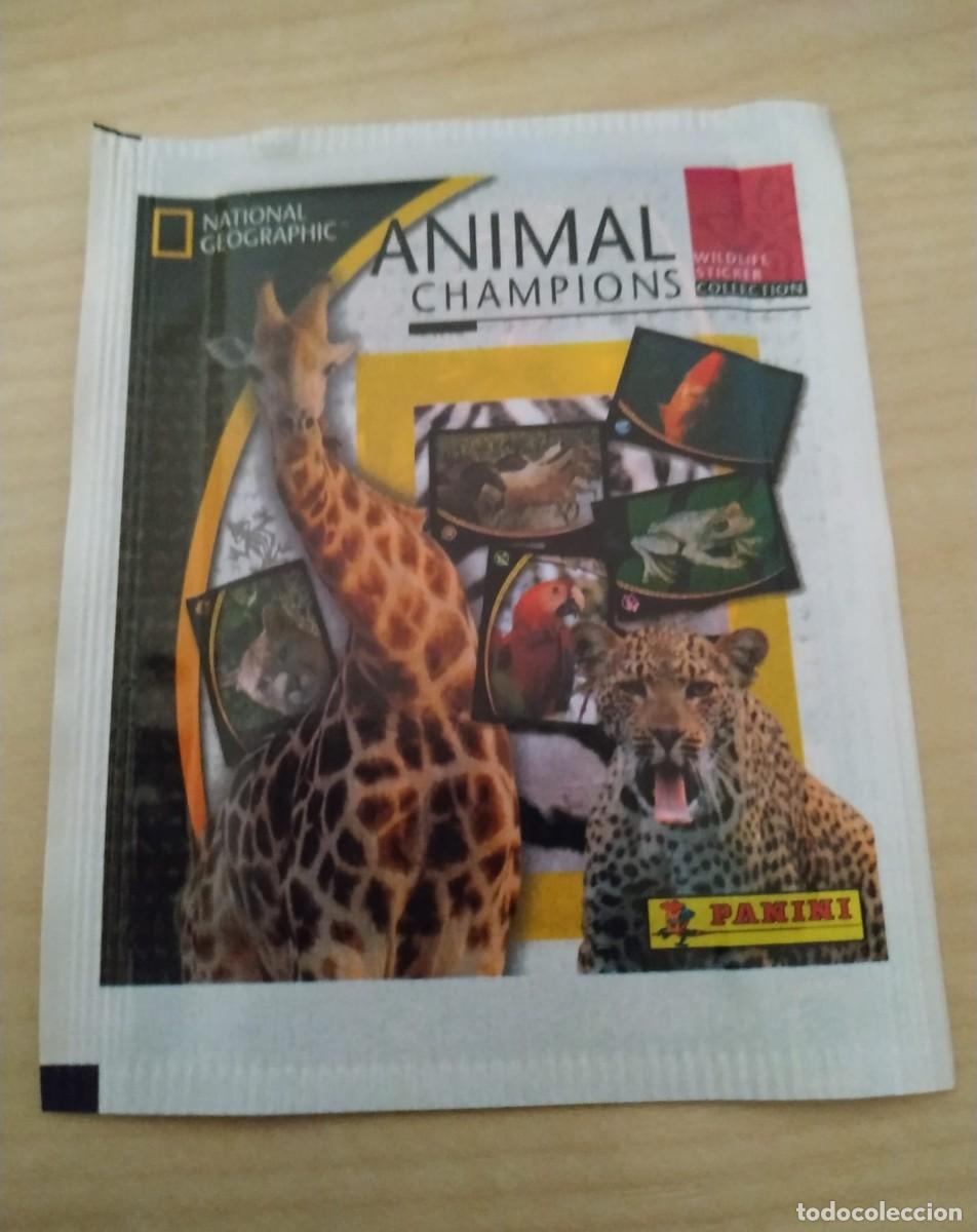 Coleccionismo cromos antiguos: PANINI - NATIONAL GEOGRAPHIC ANIMAL CHAMPIONS - 2004 - SOBRE SIN ABRIR