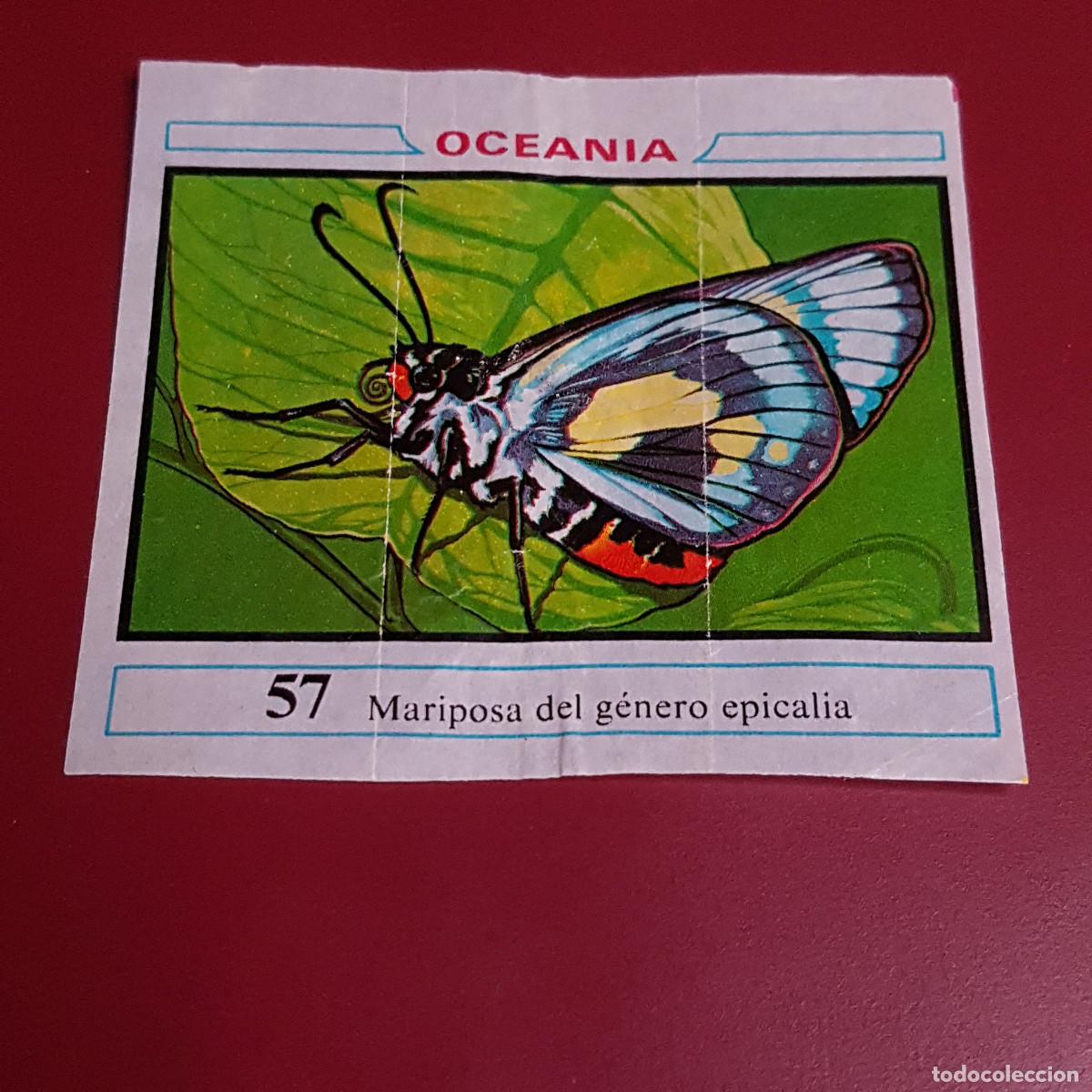 Coleccionismo cromos antiguos: DUNKIN - OCEANIA - UN CROMO - 57 - Foto 1