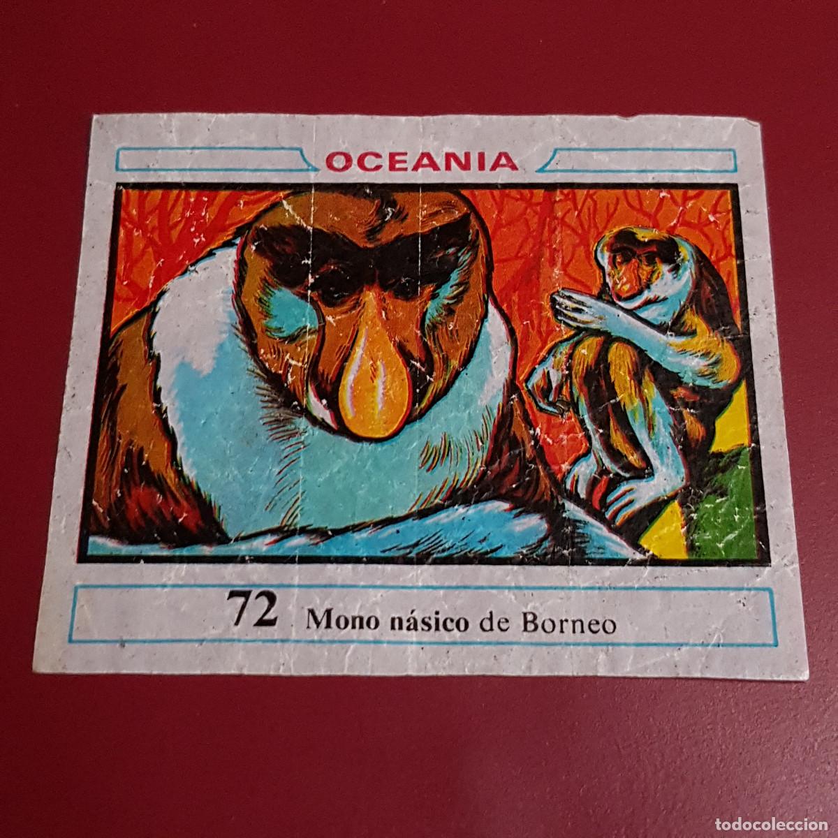 Coleccionismo cromos antiguos: DUNKIN - OCEANIA - UN CROMO - 72 - Foto 1