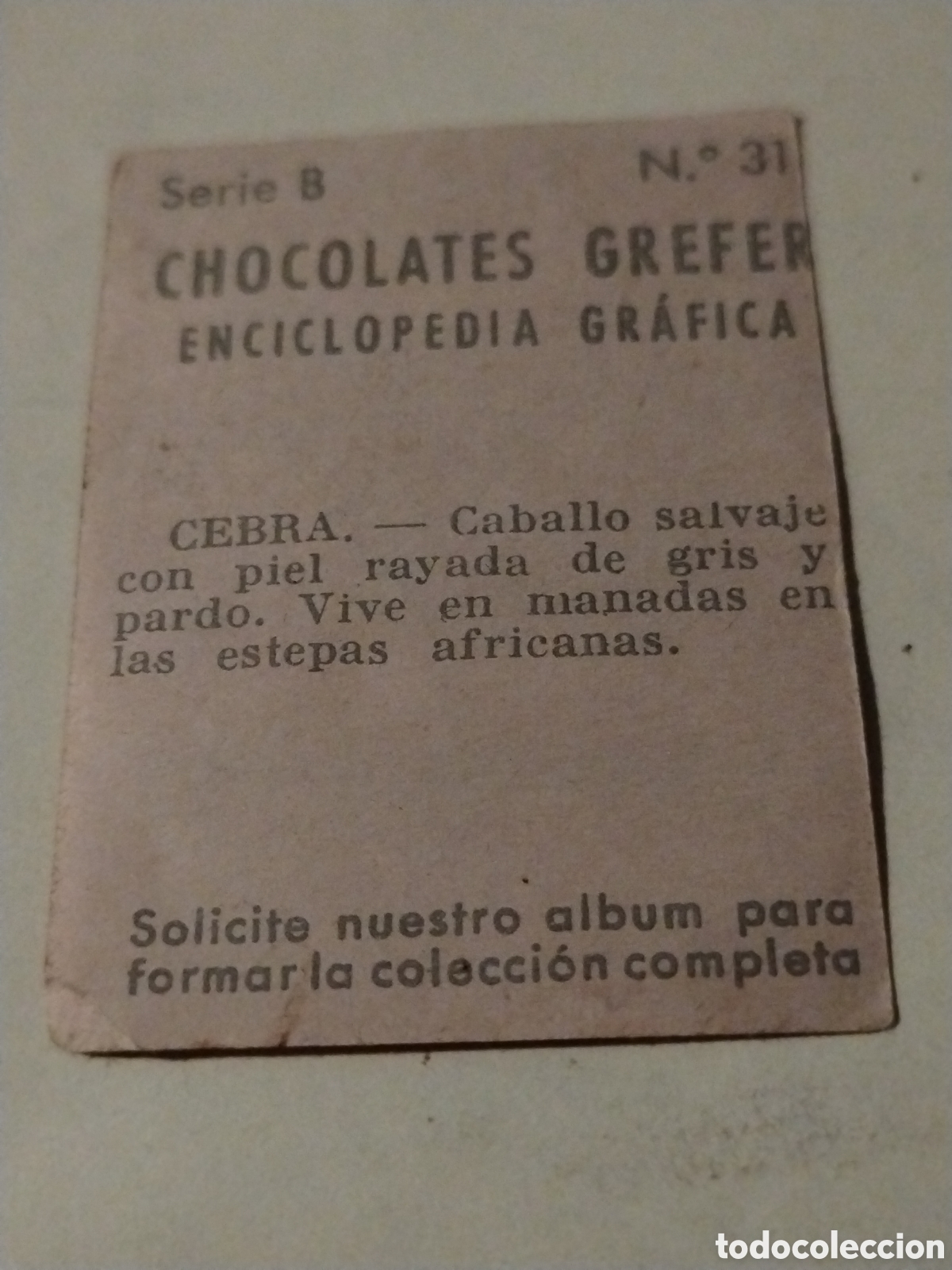 Coleccionismo cromos antiguos: Cromo chocolates Grefer n&deg;31 Cebra Serie B - Foto 2