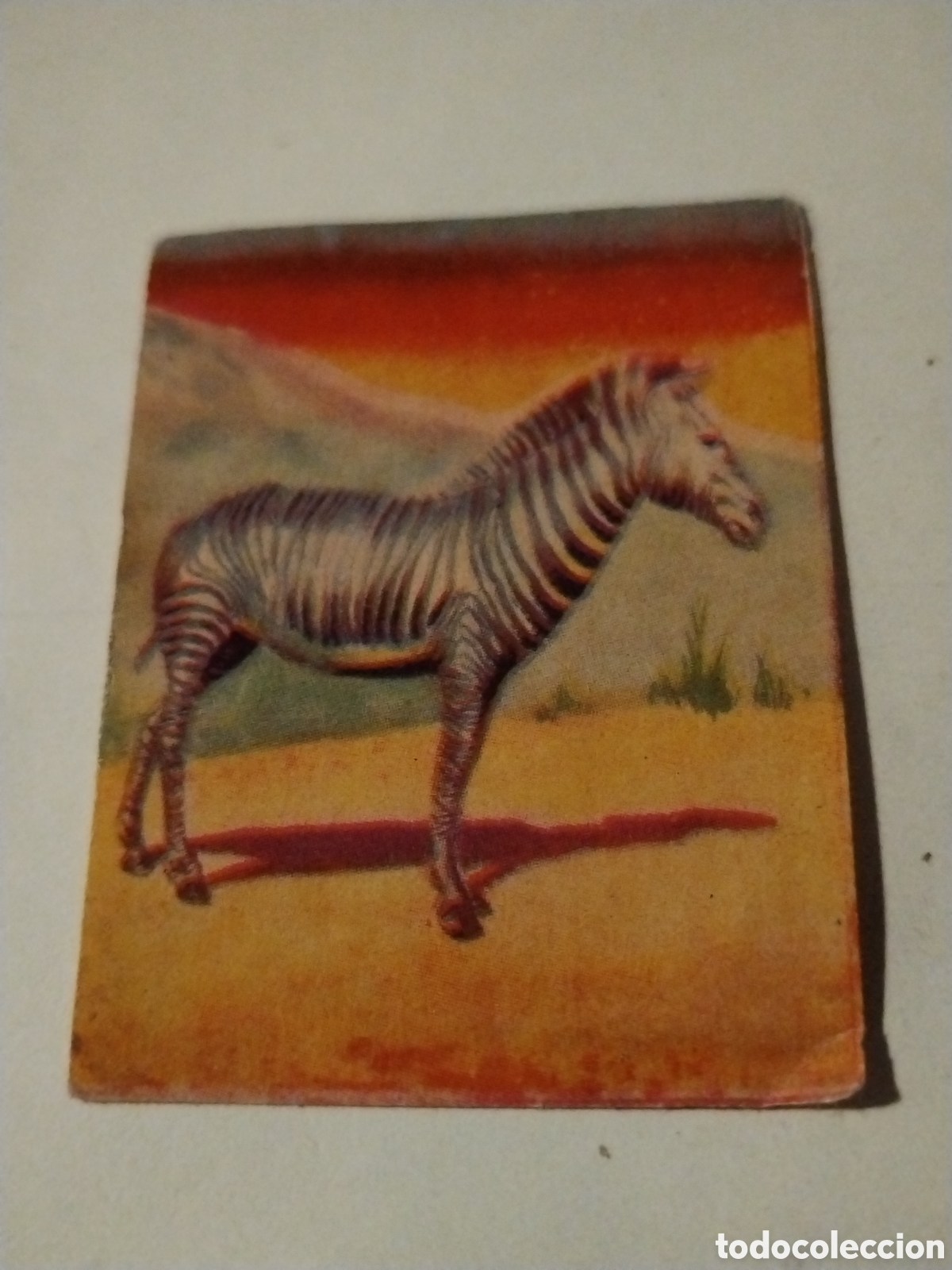 Coleccionismo cromos antiguos: Cromo chocolates Grefer n&deg;31 Cebra Serie B - Foto 1