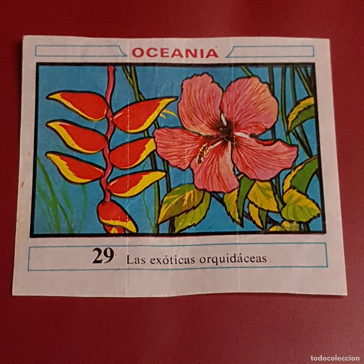 Coleccionismo cromos antiguos: DUNKIN - OCEANIA - UN CROMO - 29 - Foto 1