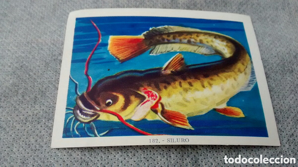 Coleccionismo cromos antiguos: CIENCIA Y ARTE, FHER, 182 - Foto 1