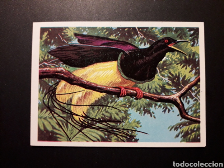 Collectable Antique Stickers: AVE DEL PARA&Iacute;SO, EL M&Aacute;S Y EL MENOS. ED RUIZ ROMERO 1975 N&deg; 83 SIN PEGAR PEDIDO M&Iacute;NIMO 3&euro;