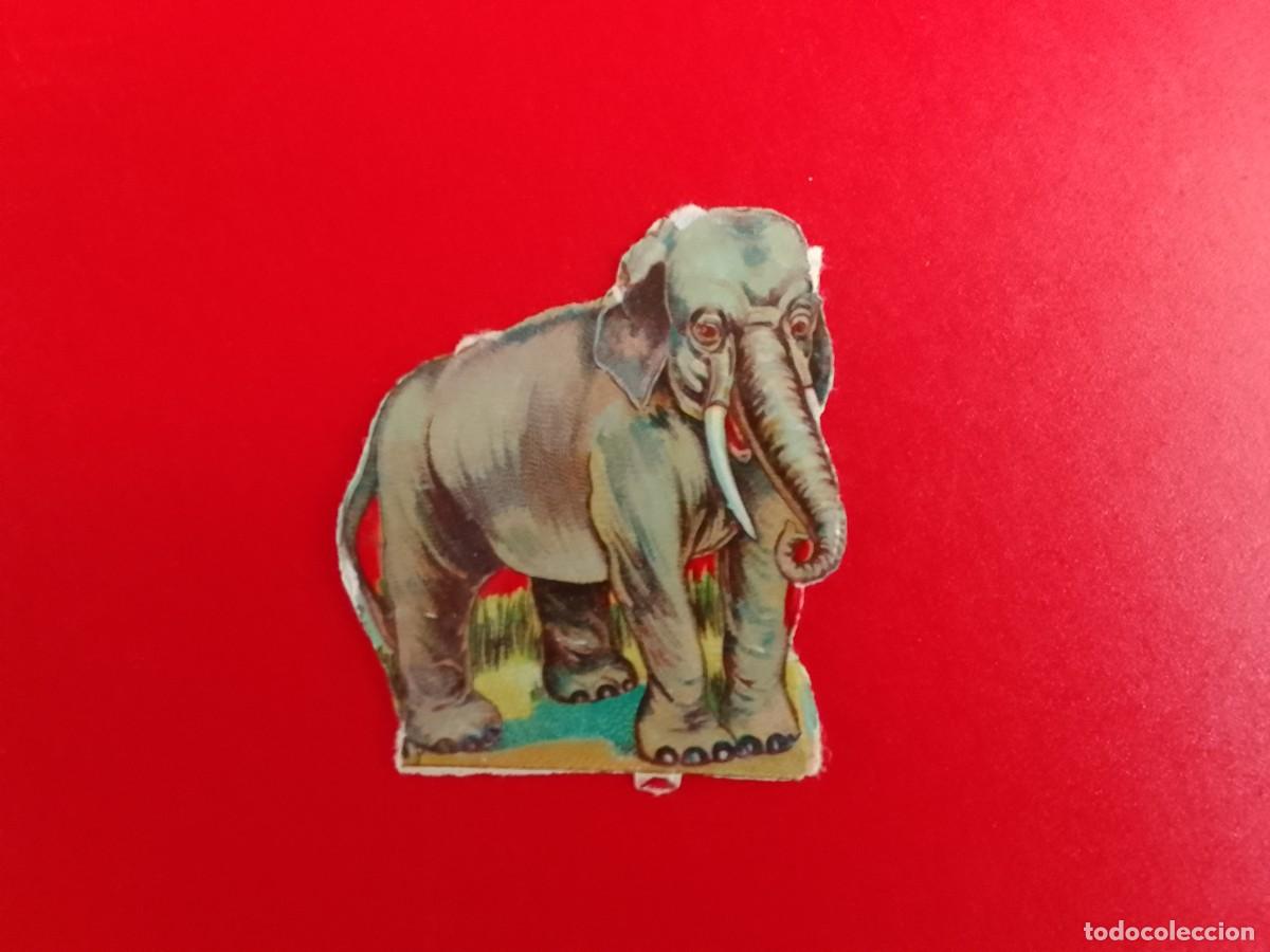 Coleccionismo cromos antiguos: CROMO TROQUELADO. ELEFANTE. - Foto 1