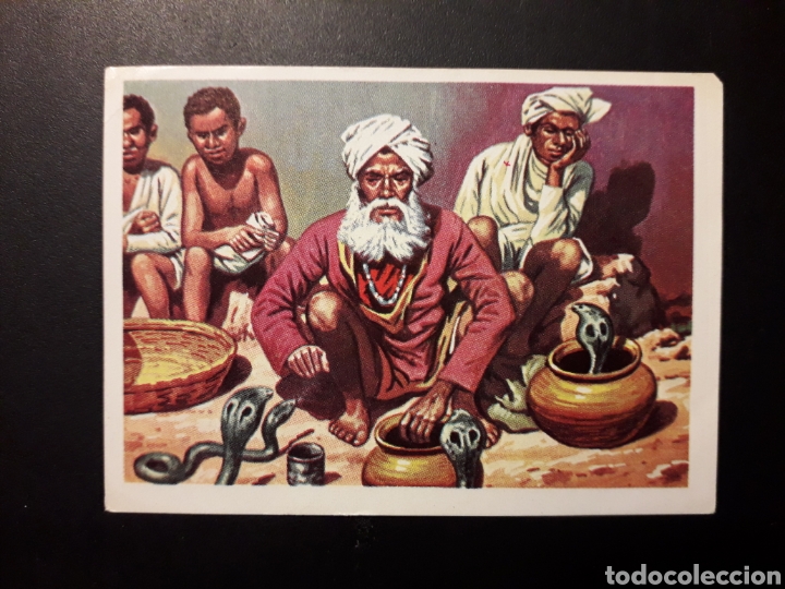 Sammeln alte Sammelbilder: LA INDIA, EL M&Aacute;S Y EL MENOS. ED RUIZ ROMERO 1975 N&deg; 150 SIN PEGAR, ESQUINA MORDIDA PEDIDO M&Iacute;NIMO 3&euro;