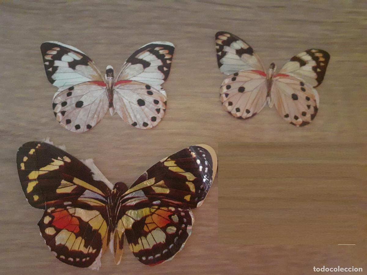 Coleccionismo Cromos antiguos: LOTE DE 3 CROMOS DEL ALBUM LAS CIEN MARIPOSAS MAS BELLAS DEL MUNDO DE PANRICO (N&ordm; 55 y 57)
