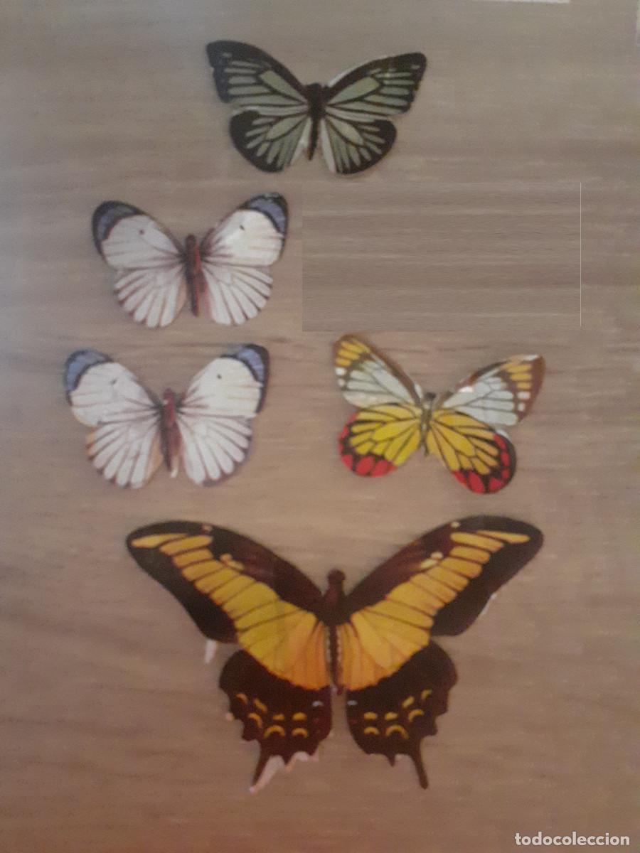 Coleccionismo Cromos antiguos: LOTE DE 5 CROMOS DEL ALBUM LAS CIEN MARIPOSAS MAS BELLAS DEL MUNDO DE PANRICO (N&ordm; 60,65,66 y 69)