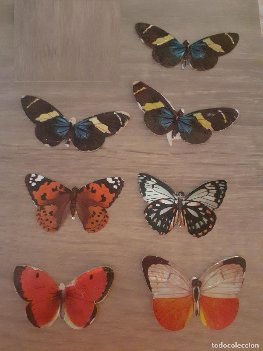 Coleccionismo Cromos antiguos: LOTE DE 7 CROMOS DEL ALBUM LAS CIEN MARIPOSAS MAS BELLAS DEL MUNDO DE PANRICO (82,84,86,87 y 88)