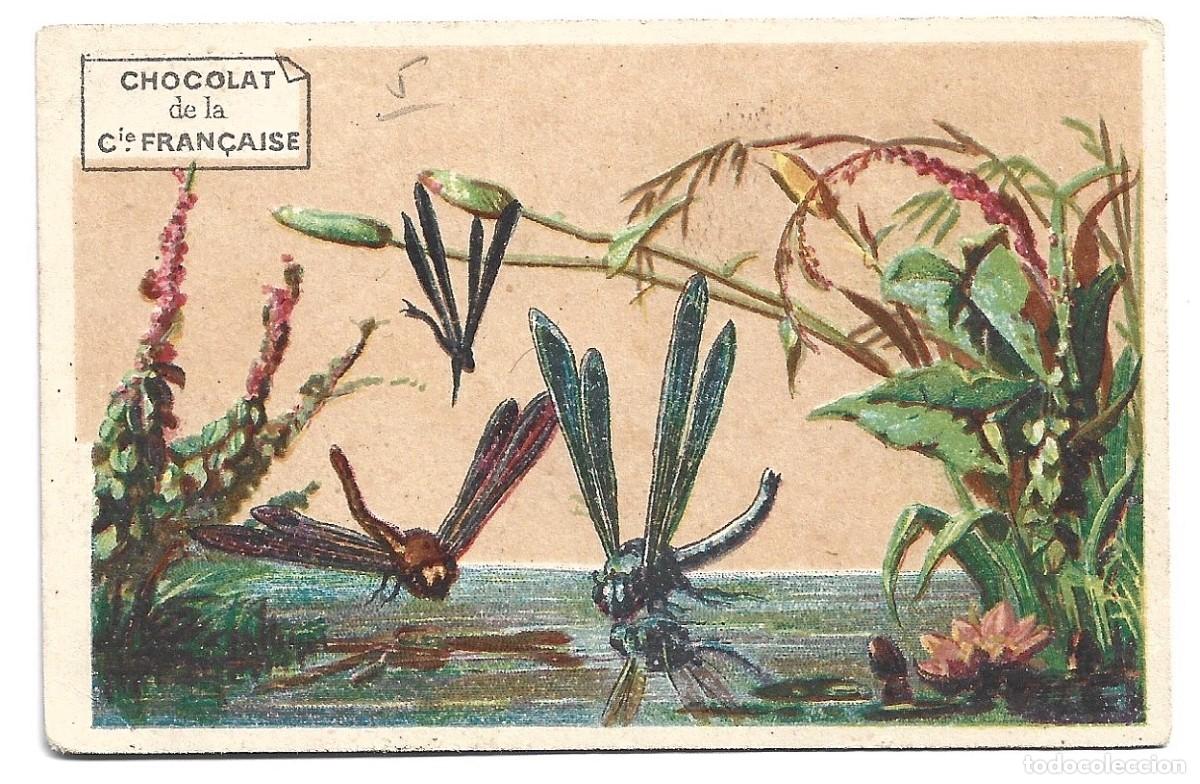 Sammeln alte Sammelbilder: CROMOS DE CASA CHOCOLAT DE LA COMPAGNIE FRAN&Ccedil;AISE FRANCIA