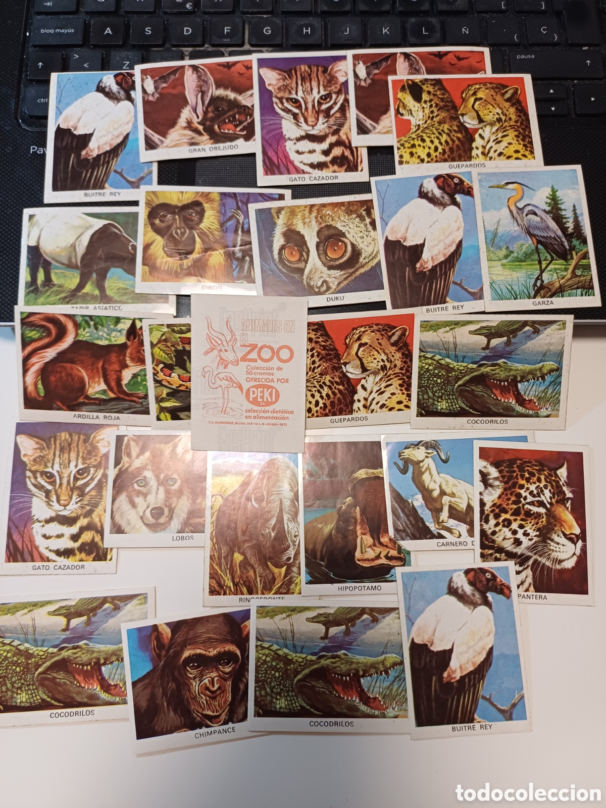 Coleccionismo Cromos antiguos: 25 cromos animales en el zoo, peki, ruiz romero, sin pegar