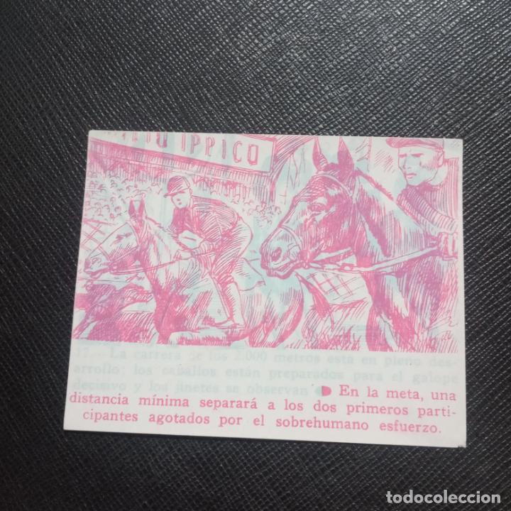 Collectionnisme Cartes &agrave; collectionner anciennes: 17 HIPICA - FHER 53 SPORT MAGICO 1953 CROMO 3D - SIN PEGAR - A110 P244