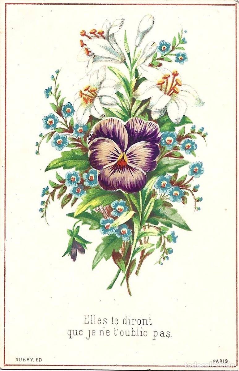 Collectionnisme Cartes &agrave; collectionner anciennes: CROMOS DE TULIPAN EN RECIEBRE PARIS ESCRITA