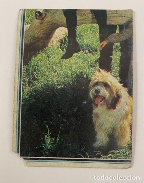 Coleccionismo cromos antiguos: LOTE DE 13 CROMOS - TELESTARS (EDICIONES ESTE) - NUNCA PEGADOS - Foto 3