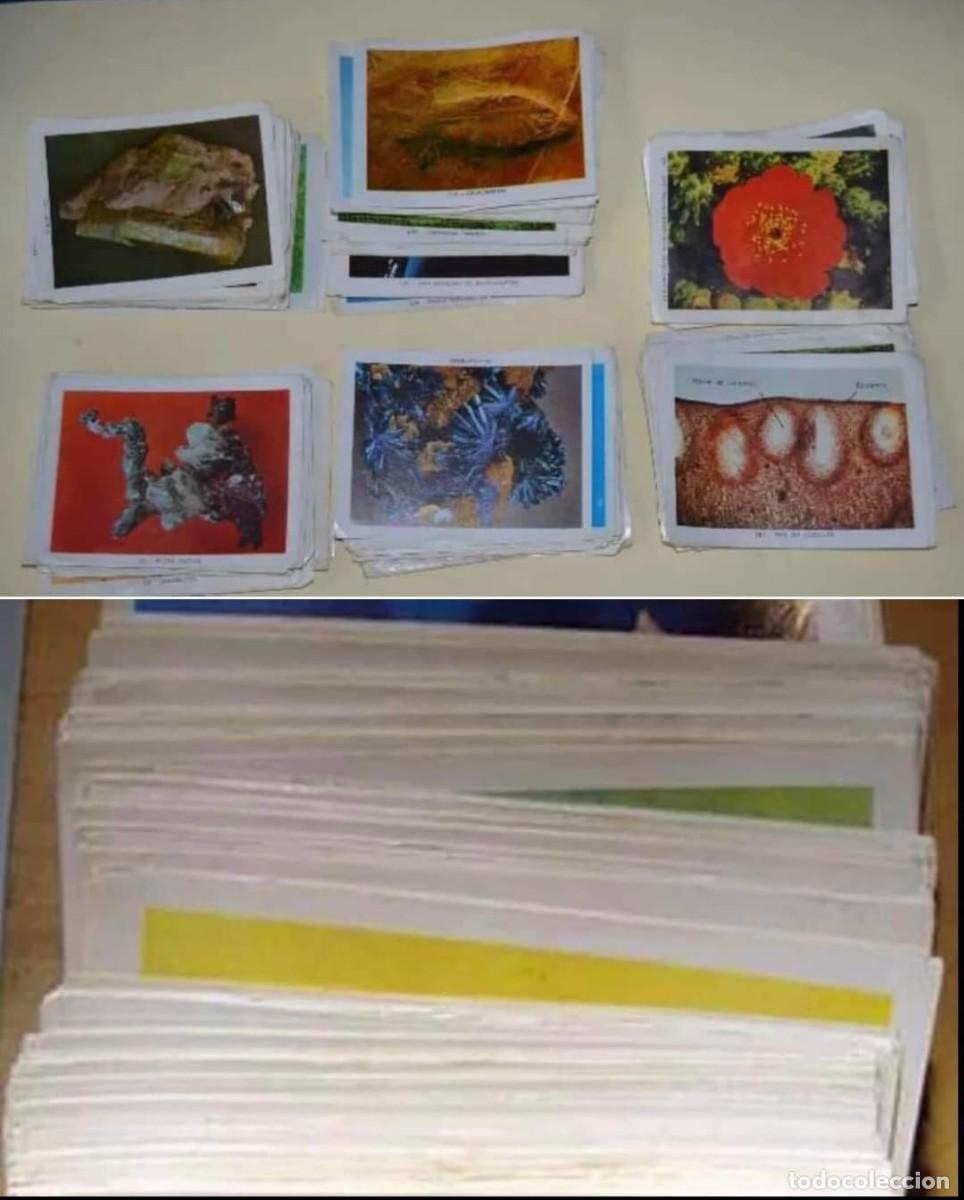 Coleccionismo cromos antiguos: GEOCIENCIAS GRAN LOTE DE 300 CROMOS NUNCA PEGADOS