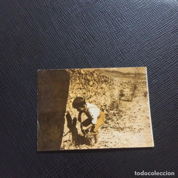 Collectable Antique Stickers: MARCELINO PAN Y VINO FHER 1955 CROMO - SIN PEGAR - CC4 - 80