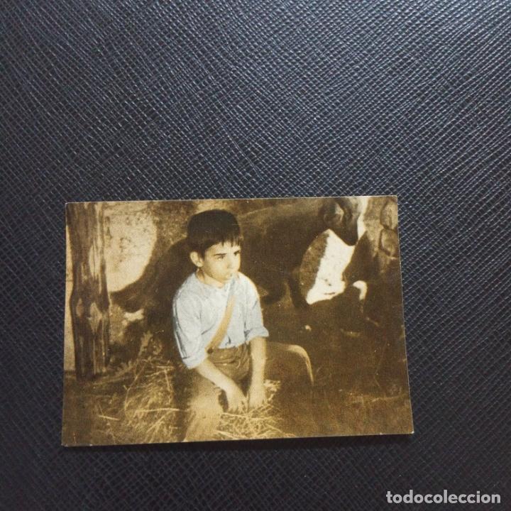 Coleccionismo cromos antiguos: MARCELINO PAN Y VINO FHER 1955 CROMO - SIN PEGAR - CC4 - 154 B