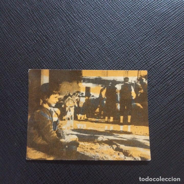 Sammeln alte Sammelbilder: MARCELINO PAN Y VINO FHER 1955 CROMO - SIN PEGAR - CC4 - 116