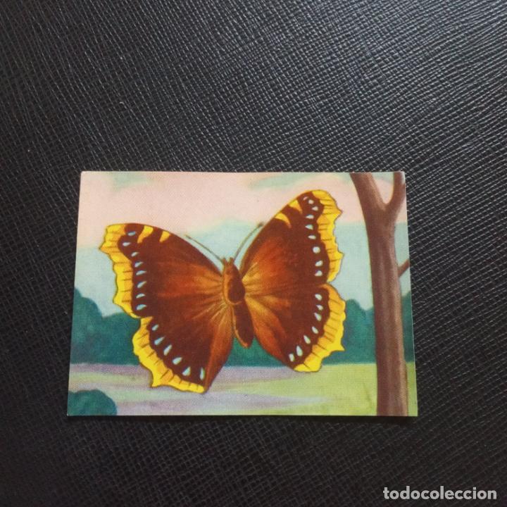 Collectionnisme Cartes &agrave; collectionner anciennes: 286 ANIMALES DE TODO EL MUNDO CROMO FHER - SIN PEGAR - CC3 C