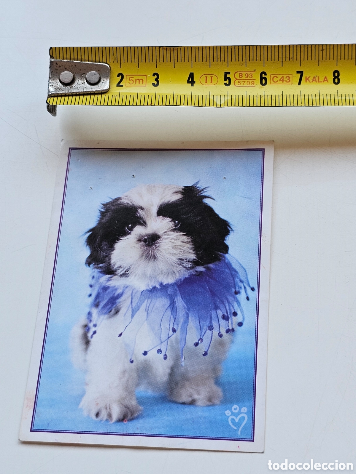 Coleccionismo cromos antiguos: Cromo perro n&deg;162 Mascotas de panini - Foto 3