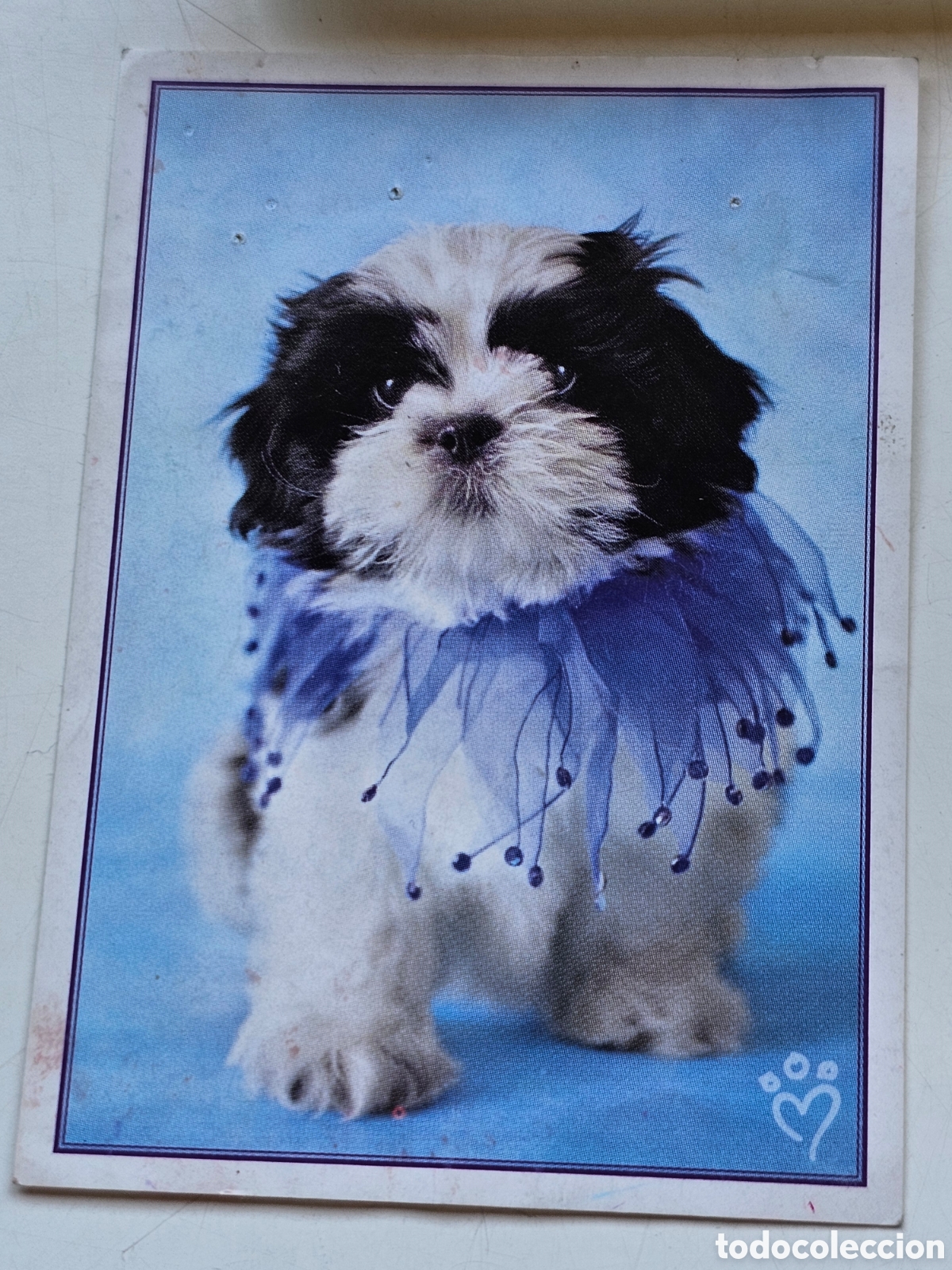 Coleccionismo cromos antiguos: Cromo perro n&deg;162 Mascotas de panini - Foto 1